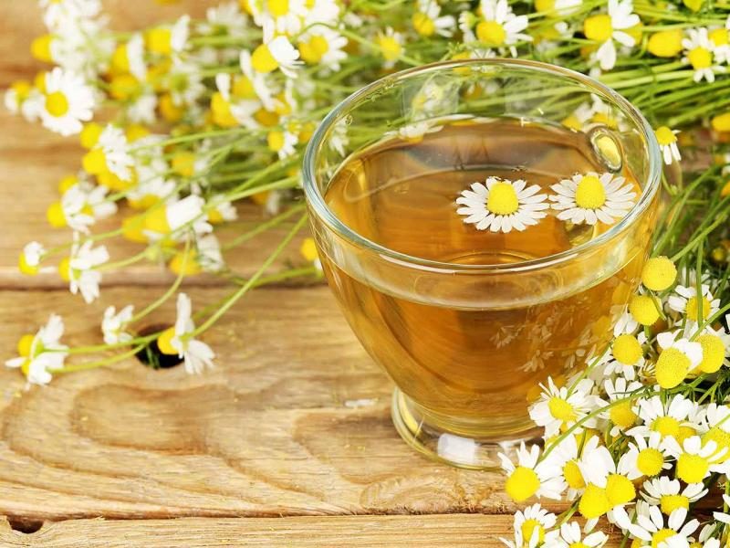 chamomile-shutterstock-5247508