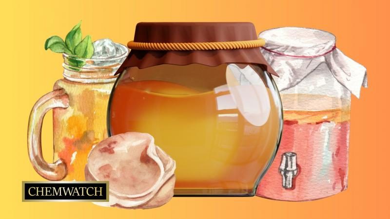 kombucha-scaled-5616592