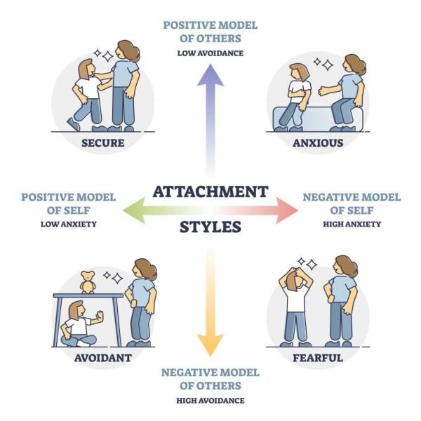 attachment-working-models-1024x1024-7432492