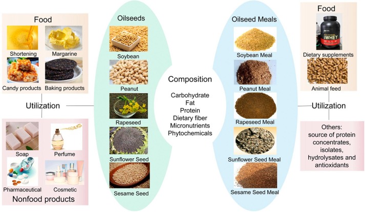 8. Sésamo: cómo utilizarlo en la alimentación