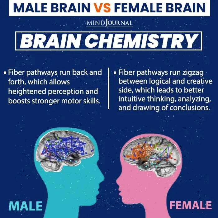 Una de las principales áreas de estudio en este campo es la neuroimagen, que permite a los investigadores examinar la estructura y función del cerebro. Mediante técnicas como la resonancia magnética, los científicos pueden investigar si existen diferencias consistentes en los cerebros de hombres y mujeres.