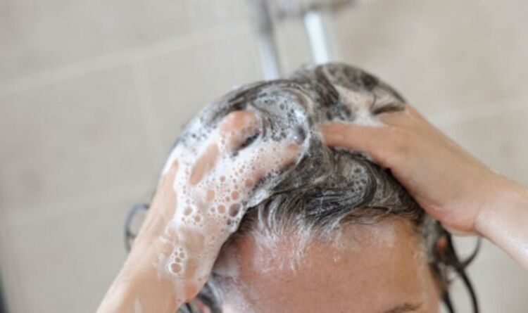 Factores a tener en cuenta para determinar lo rápido que se ensucia tu pelo: