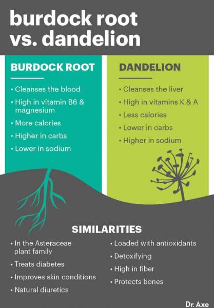 Aceite de zanahoria: beneficios y perjuicios, cómo tomarlo