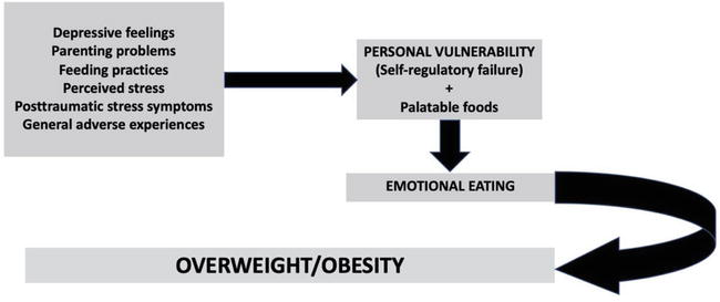 Causas del sobrepeso según la psicosomática