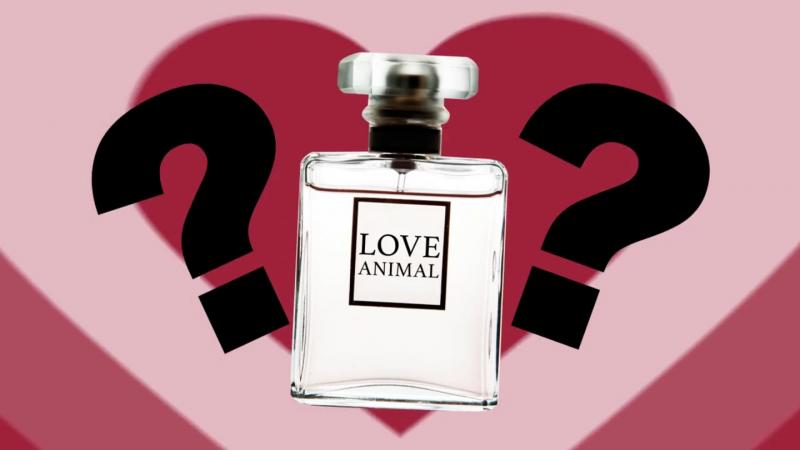 Perfume de feromonas: 5 hechos que demuestran que no funciona