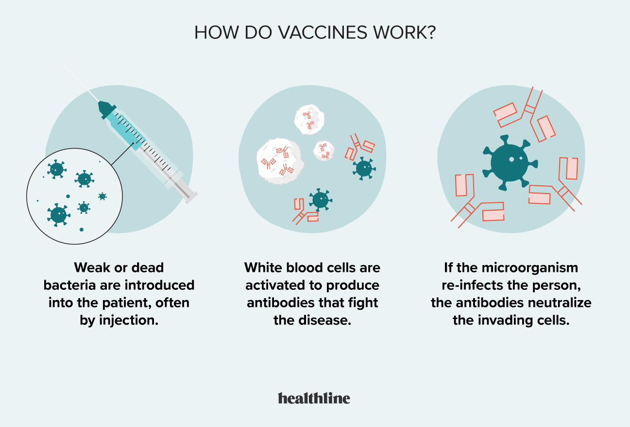 4 datos sobre la vacunación antigripal que todo el mundo debería conocer