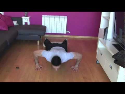 Para los músculos abdominales oblicuos