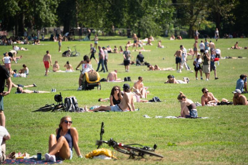 Encuentra un amigo: se pone en marcha una red de citas en los parques de la capital