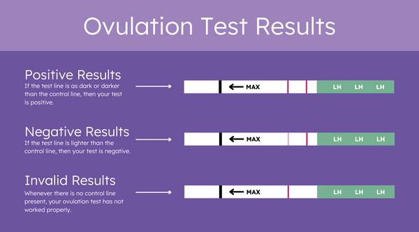 Prepararse para el gran paso: cómo utilizar correctamente un test de ovulación (preguntado por un ginecólogo)