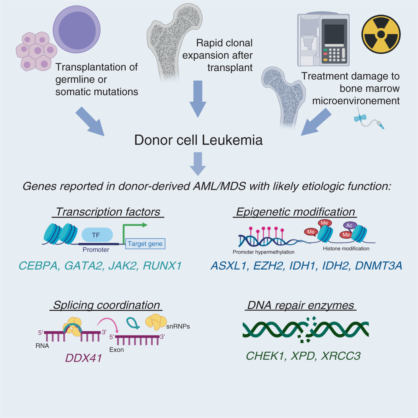 Gemelos genéticos: cómo los donantes salvan la vida de personas con leucemia (3 historias - 3 encuentros asombrosos)