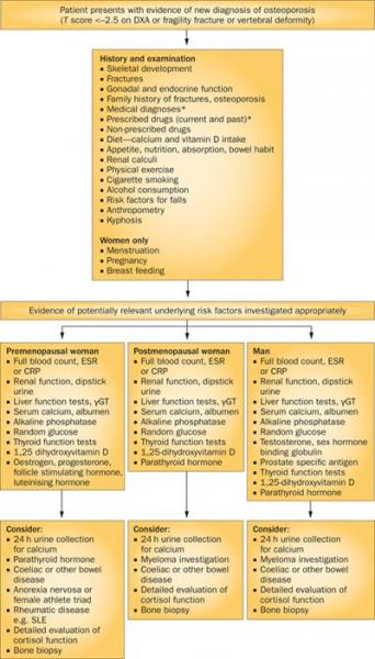 Diagnóstico de la osteoporosis: pruebas e investigaciones 