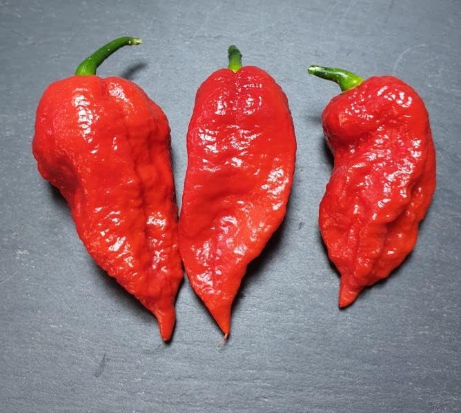 Del Bhut Jolokia al Aliento del Diablo: una escala de picor del pimiento que seguro que no conocías