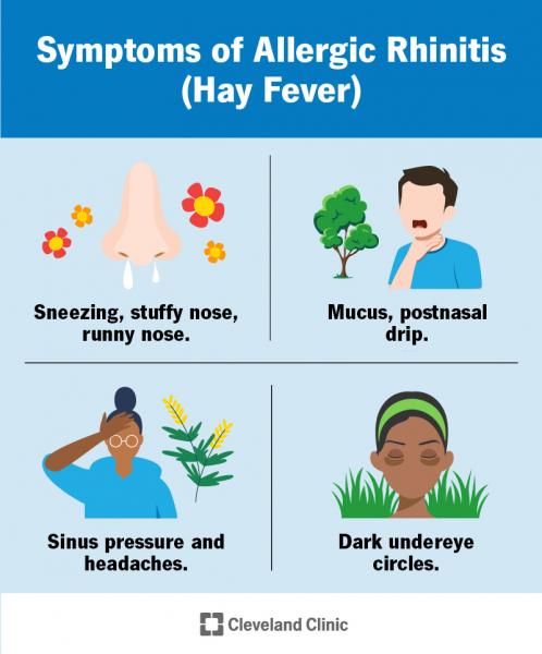 ¿Qué es la alergia?