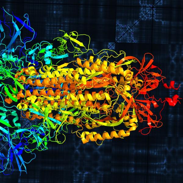 ¿Cuáles son los peligros de la situación actual del coronavirus?