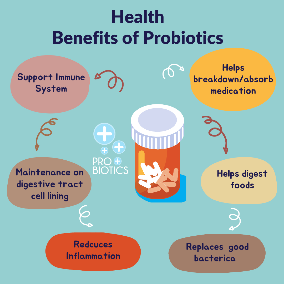 Elegir los probióticos adecuados para la salud inmunitaria
