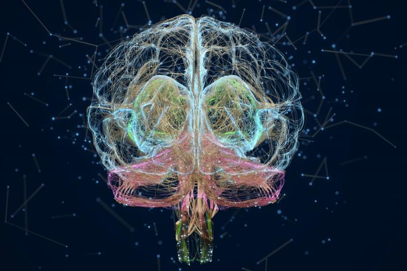 Los descubrimientos realizados hasta ahora han mostrado una clara relación entre este cambio de estilo de vida y la activación de genes específicos que desempeñan un papel crucial en la regulación del proceso de envejecimiento. Estos genes, cuando se activan, promueven la reparación celular, mejoran la estabilidad del ADN y reducen el estrés oxidativo, todos ellos factores clave para prevenir las enfermedades relacionadas con la edad y prolongar la esperanza de vida. Las implicaciones de este descubrimiento son inmensas y ofrecen la esperanza de una vida más sana y larga para las generaciones futuras.