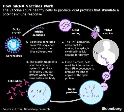 La MSU podría crear una vacuna contra el coronavirus en 3 meses