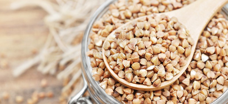 El trigo sarraceno puede envenenarse
