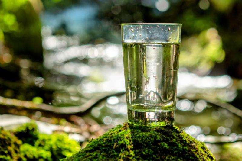 Este revolucionario material, creado por un equipo de investigadores, tiene el potencial de revolucionar la industria de la purificación del agua. A diferencia de los métodos tradicionales de purificación, que a menudo implican el uso de productos químicos o sistemas de filtración, este material vivo aprovecha el poder de la propia naturaleza.