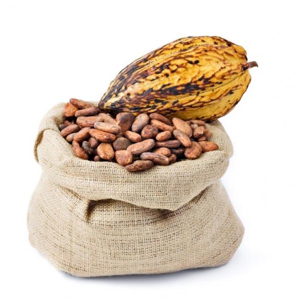 Durante años, la gente ha disfrutado del chocolate sin saber las importantes ventajas que ofrece. Estudios recientes han demostrado que el cacao está repleto de antioxidantes, que pueden proteger nuestro organismo de los daños causados por los dañinos radicales libres. Además, los antioxidantes del cacao pueden ayudar a reducir la inflamación del organismo, contribuyendo así a mejorar la salud y el bienestar general.