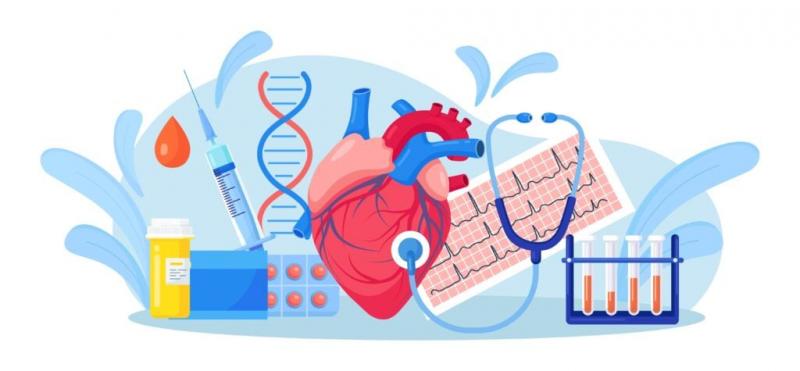 undefinedThe findings of this study are significant and have the potential to revolutionize the way we approach heart health. Hasta ahora, la atención se ha centrado principalmente en las modificaciones del estilo de vida, como la dieta y el ejercicio, pero este estudio sugiere que la incorporación de ácidos grasos omega-3 a la rutina diaria podría tener un profundo impacto en el bienestar del corazón. Incluso podría resultar una medida preventiva crucial para las personas con riesgo de sufrir problemas cardiacos.