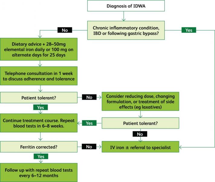 Carencia de hierro y anemia: cómo detectarla a tiempo y por qué no puede tratarse sólo con dieta