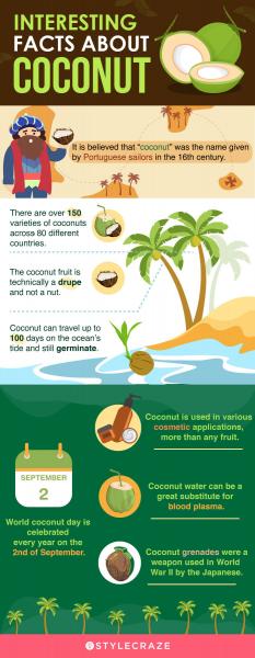Un coco tan diferente: beneficios y perjuicios para el organismo (22 propiedades del fruto seco)
