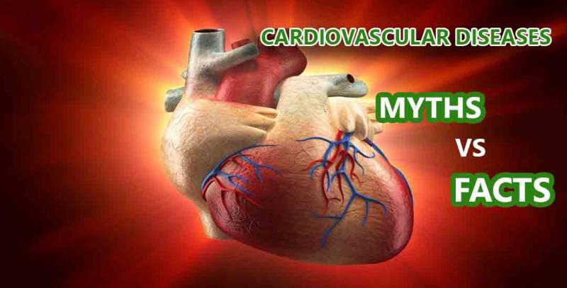 Mitos sobre la salud del corazón (qué es más sano: el agua, la comida o el deporte)