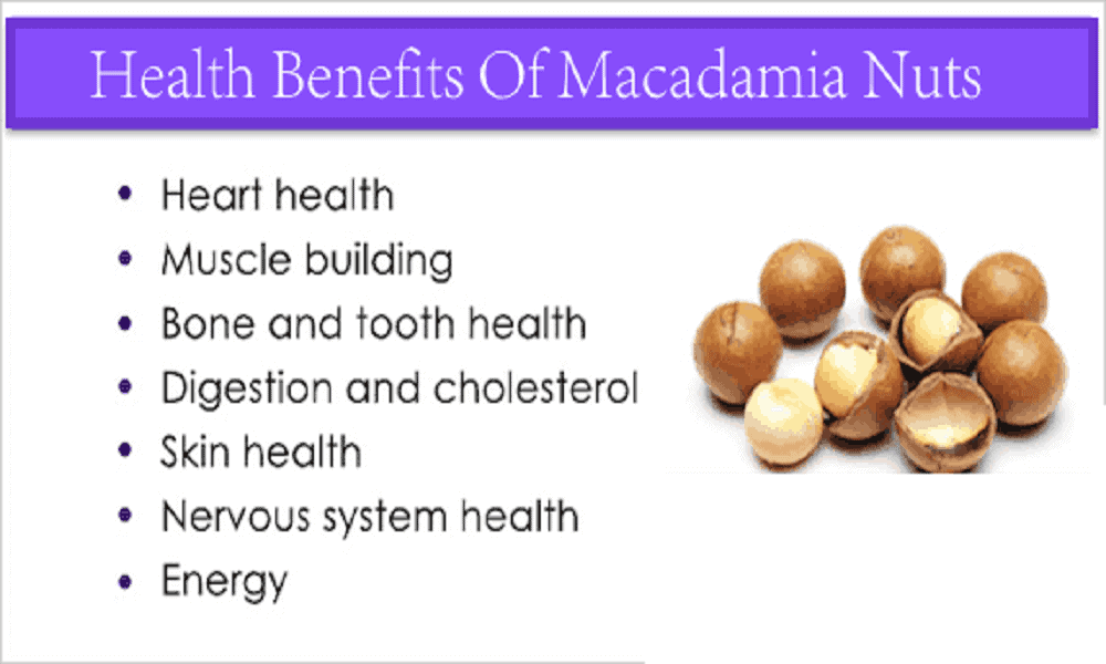 Posibles perjuicios de la nuez de macadamia