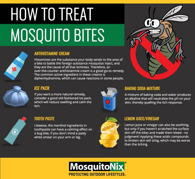 Picaduras de mosquito: por qué y cómo aparecen
