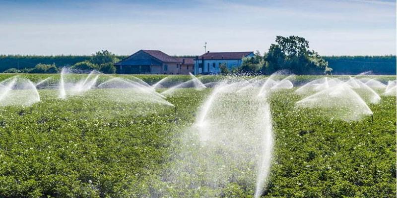 ¿Por qué necesito un irrigador y cuál es el mejor?