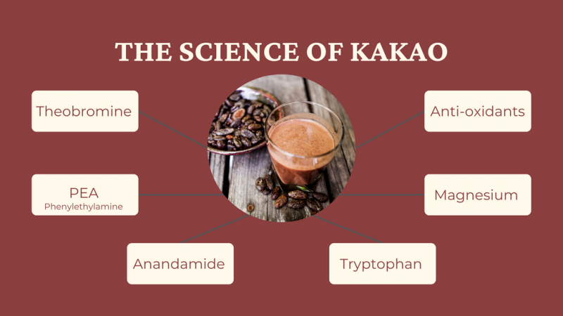 undefined¡Pero eso no es todo! También se ha descubierto que el cacao tiene efectos positivos en la salud de nuestro cerebro. Las investigaciones han demostrado que el consumo de cacao puede mejorar la función cognitiva y la memoria. Se ha descubierto que los flavonoides presentes en el cacao aumentan el flujo sanguíneo al cerebro, lo que mejora la función cerebral y reduce el riesgo de enfermedades neurodegenerativas, como el Alzheimer.