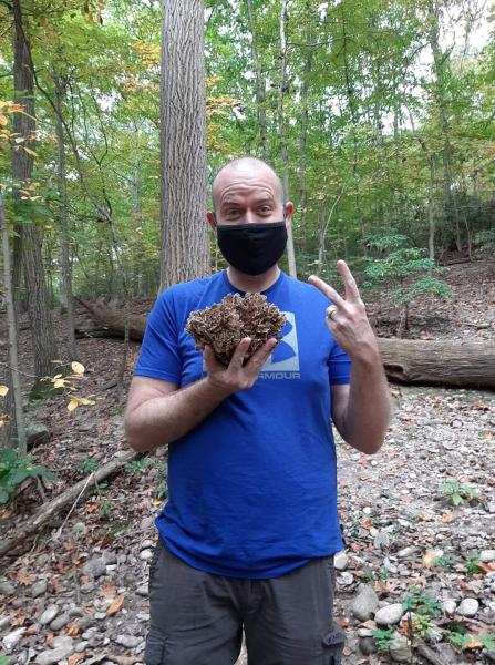 undefinedEntonces, ¿cómo se encuentra el lugar perfecto para las setas? Nuestro buscador de setas profesional sugiere buscar zonas con una vegetación variada, como bosques o prados. Las setas suelen encontrarse cerca de los árboles, sobre todo en zonas con una mezcla de coníferas y árboles de hoja caduca.