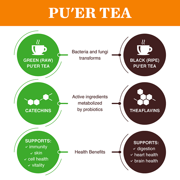 Beneficios del té puerh para la salud masculina