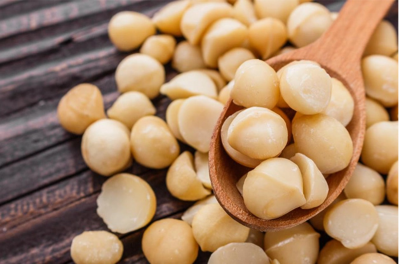 La nuez de macadamia: beneficios y perjuicios para el organismo