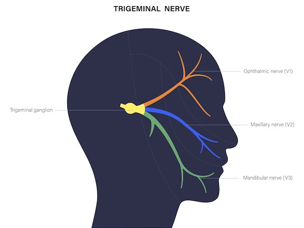 Inflamación del nervio facial. Mantenga la calma