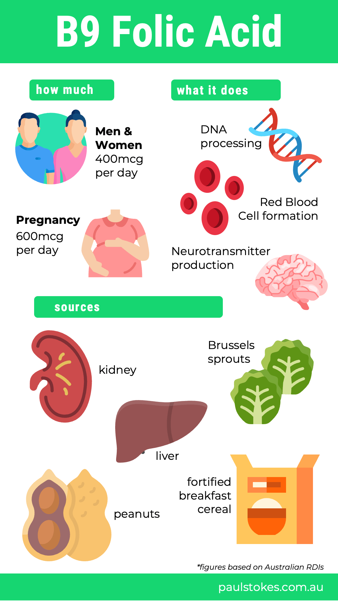 ¿A qué conduce la carencia de vitamina B9 en el embarazo?