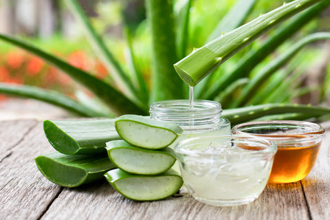 Una de las formas más populares de utilizar el aloe vera para tratamientos rejuvenecedores es preparar una mascarilla facial hidratante. Basta con mezclar gel fresco de aloe vera con unas gotas de zumo de limón y una cucharadita de miel. Aplíquese la mezcla en la cara y déjela reposar entre 15 y 20 minutos antes de aclararla con agua tibia. Esta mascarilla no sólo hidratará tu piel, sino que el zumo de limón también te ayudará a aclarar manchas oscuras e imperfecciones.