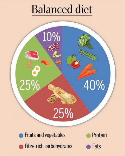 6 ¿La fruta se toma por separado y sólo por la mañana?