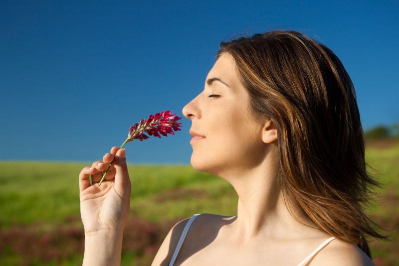 Llevar una dieta sana es importante para mantener un cuerpo fuerte y lleno de vida. Sin embargo, a menudo es difícil resistirse al atractivo de la comida basura. Los científicos han descubierto una forma única de frenar la ansiedad por los aperitivos poco saludables aprovechando el poder de nuestro olfato.