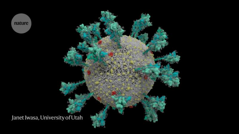 Los científicos han creado un captador de coronavirus que se puede llevar encima