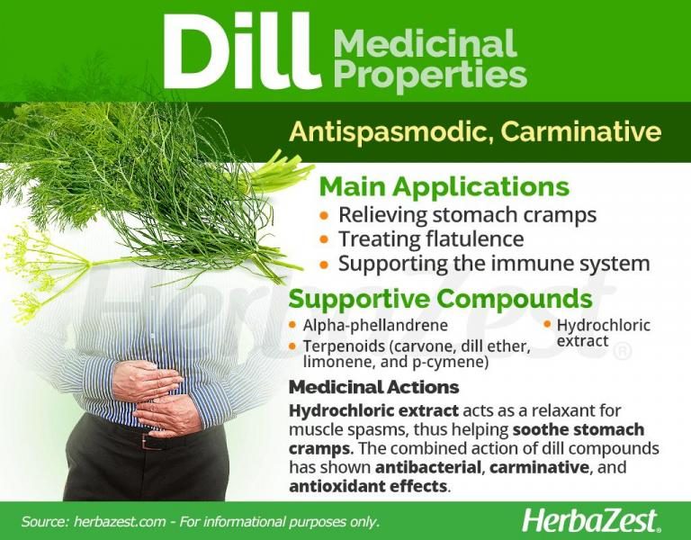 dill-medicinal-properties-785693-section-1571110-6732989