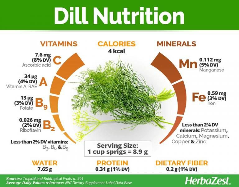 dill-nutrition-facts-893826-section-4554505-3978738