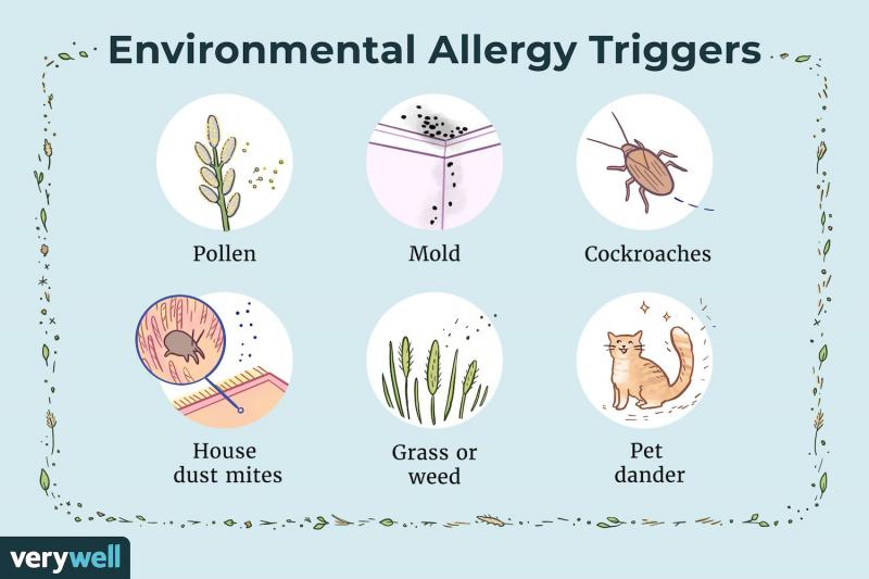 Alergia al polen: síntomas, tratamiento y prevención