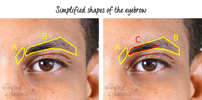 Cómo dibujar correctamente las cejas: las instrucciones más completas