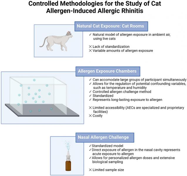 Qué es la alergia a los gatos