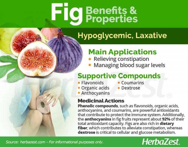 fig-benefits-and-properties-831966-section-6317103-7708850
