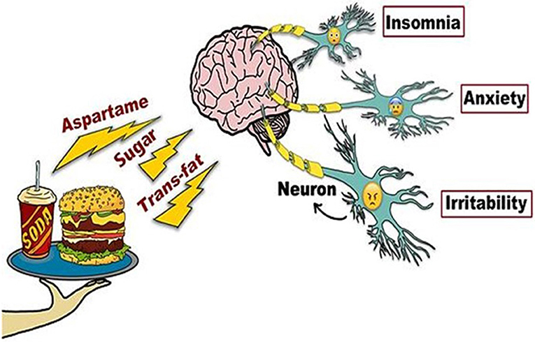 Un nuevo estudio ha revelado que el consumo habitual de comida rápida puede alterar las funciones cerebrales en tan sólo cuatro semanas. En la investigación, realizada en una importante universidad, se sometió a los participantes a una dieta basada exclusivamente en comida rápida durante un mes.