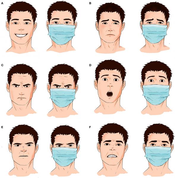 Instrucciones de uso: cómo aplicar 6 tipos diferentes de mascarillas faciales para que funcionen