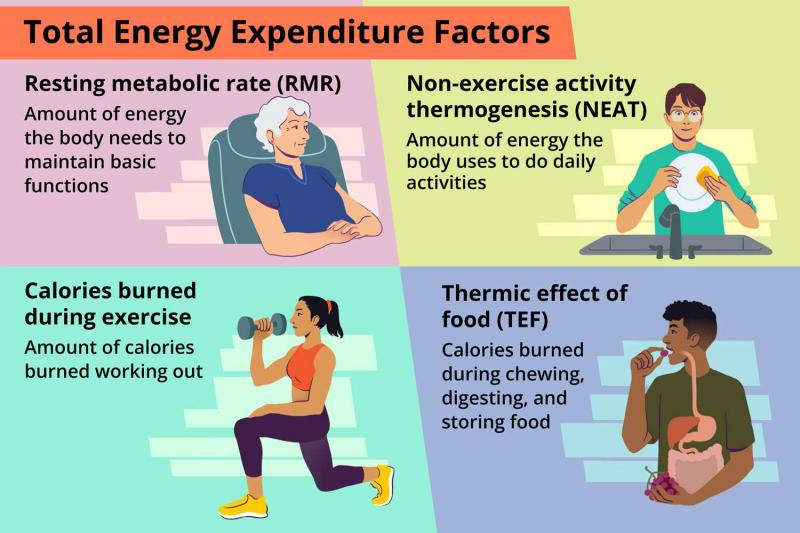 Prueba: ¿cuántas kilocalorías necesita realmente tu cuerpo?